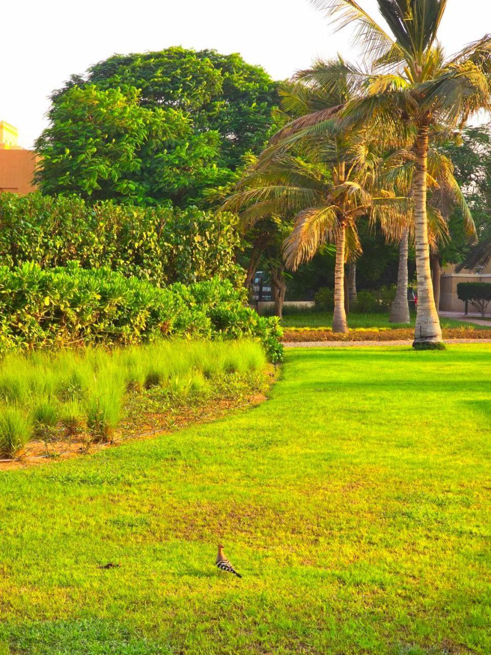 Seaview Escape Family Two-bedroom With Seaview Apartment